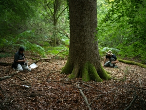 Collecting samples